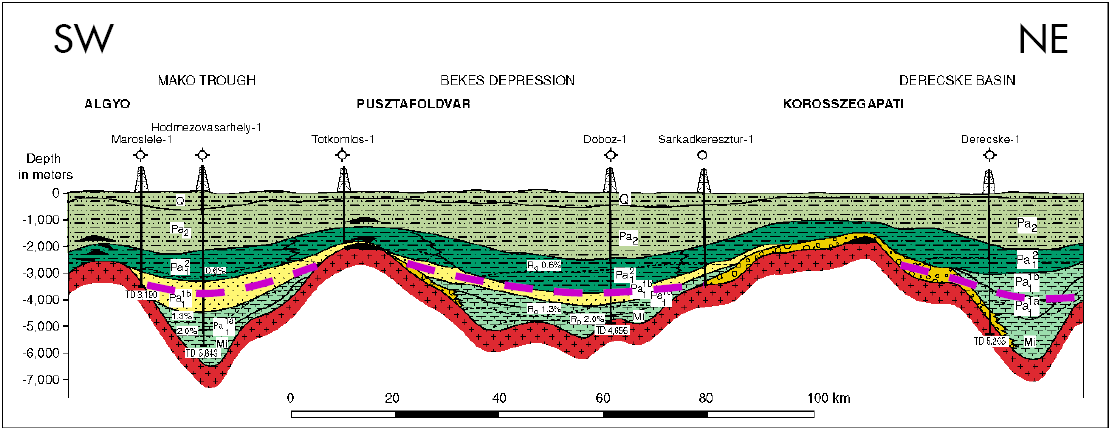 Geology - base of the potential Evaluated play types: Shale gas tight gas reservoirs in pannonian deep basin positions Tight Gas in middle Miocene sediments Base conditions High sedimentation rate