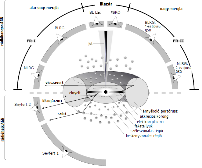 1.2. Az aktív galaxismagok részei 5 1.1. ÁBRA. Az AGN-ek egyesített elméletének sematikus ábrája.