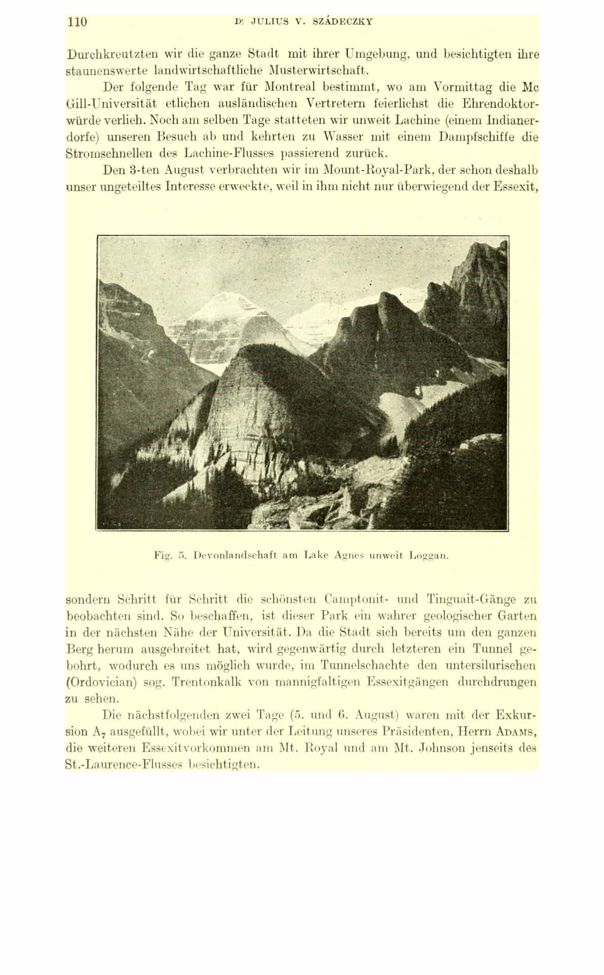 110 IX JULIUS V. SZÁDECZKY Durchkreutzten wir die ganze Stadt mit ihrer Umgebung, und besichtigten ihre staunenswerte landwirtschaftliche Musterwirtschaft.