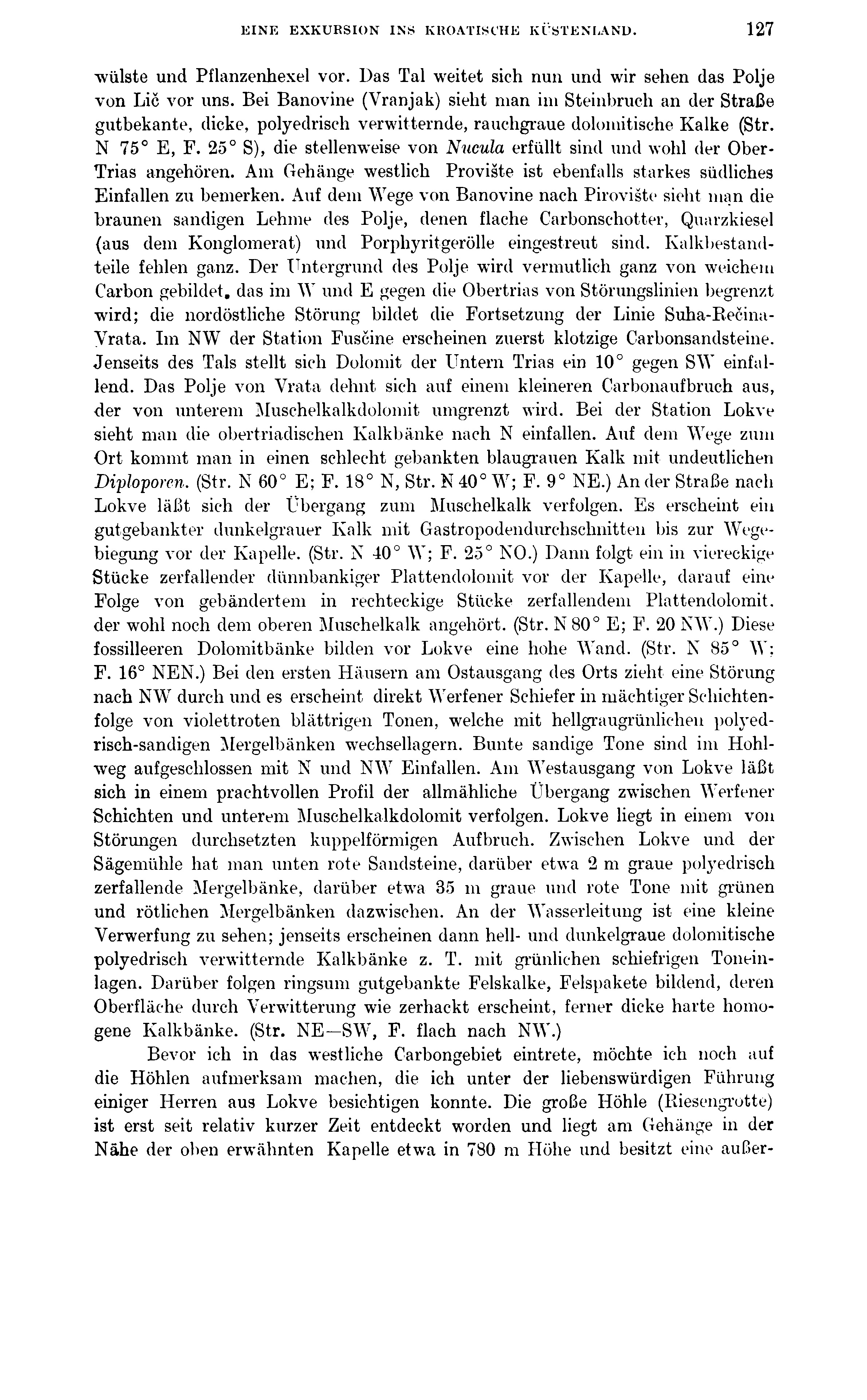 EINE EXKURSION INS KROATISCHE KÜSTENLAND. 127 wülste und Pflanzenhexel vor. Das Tal weitet sich nun und wir sehen das Polje von Lic vor uns.