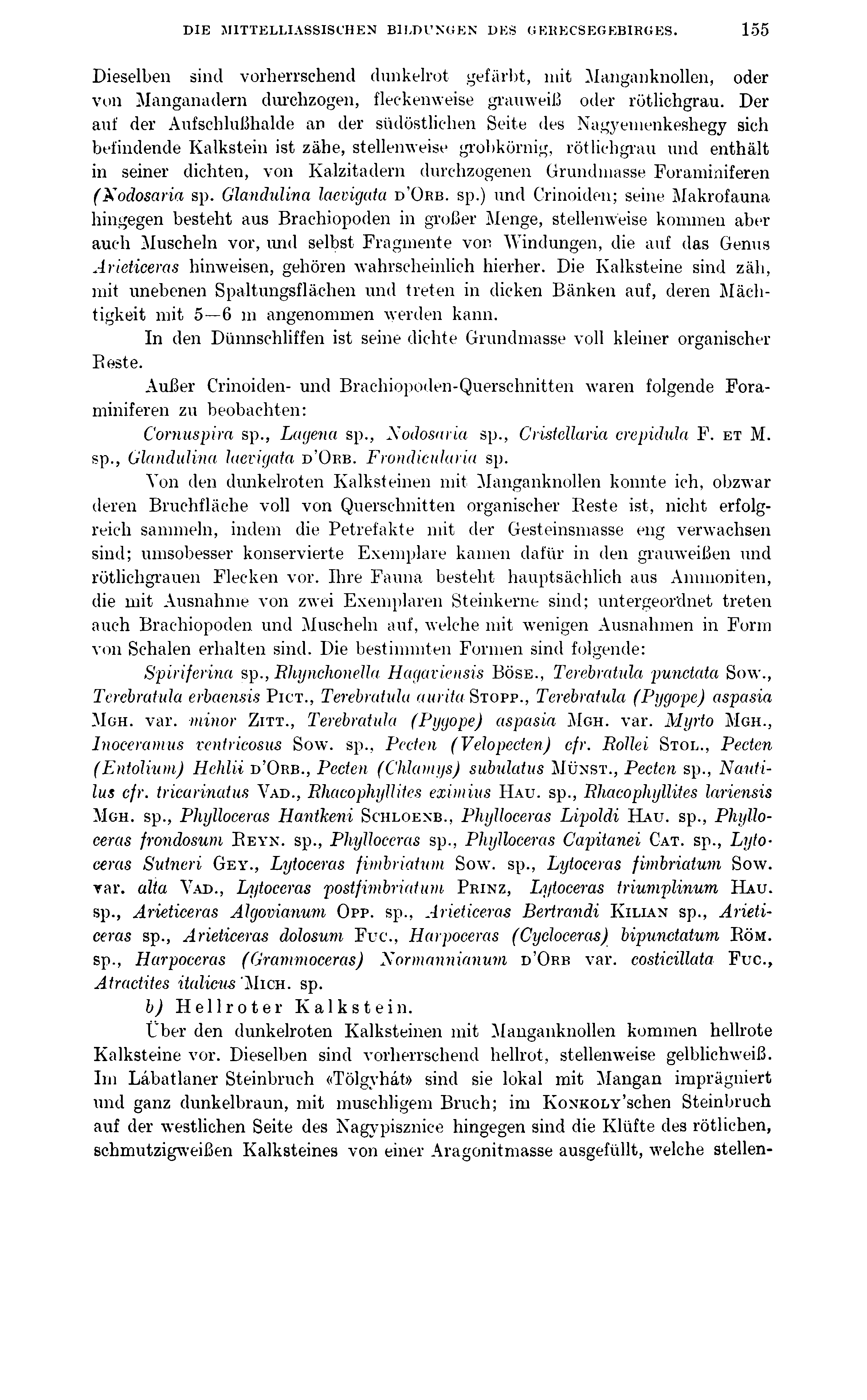 DIB MITTELLIASSISCHEN BILDUNGEN DES GERECSEGEBIRGES. 155 Dieselben sind vorherrschend dunkelrot gefärbt, mit Manganknollen, oder von Manganadern durchzogen, fleckenweise grauweiß oder rötlichgrau.
