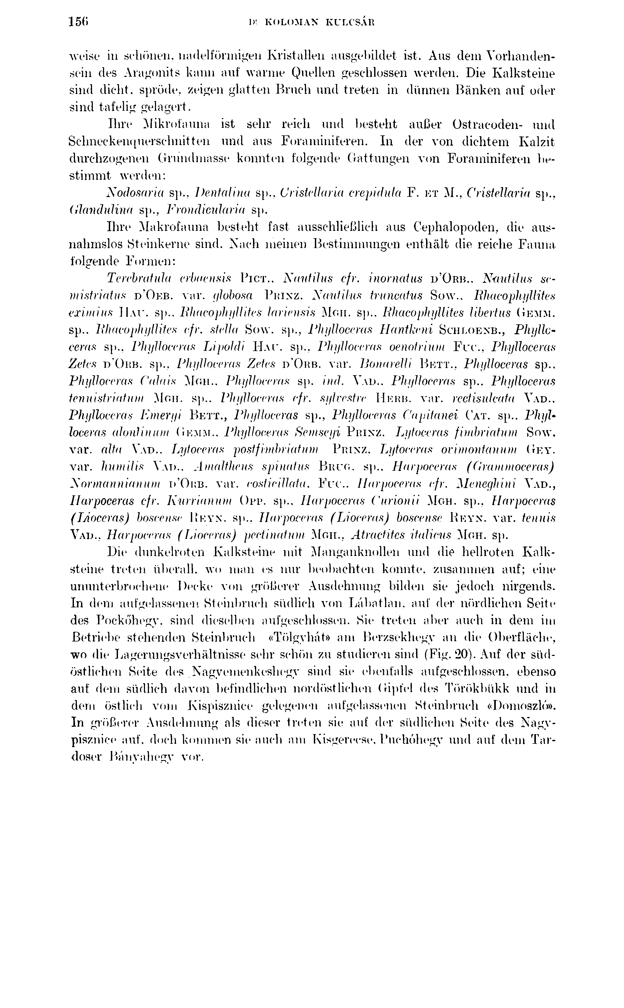 150 1)í KOLOMAN KULCSÁR weise in schönen, nadelförmigen Kristallen ausgebildet ist. Aus dem Vorhandensein des Aragonits kann auf warme Quellen geschlossen werden.