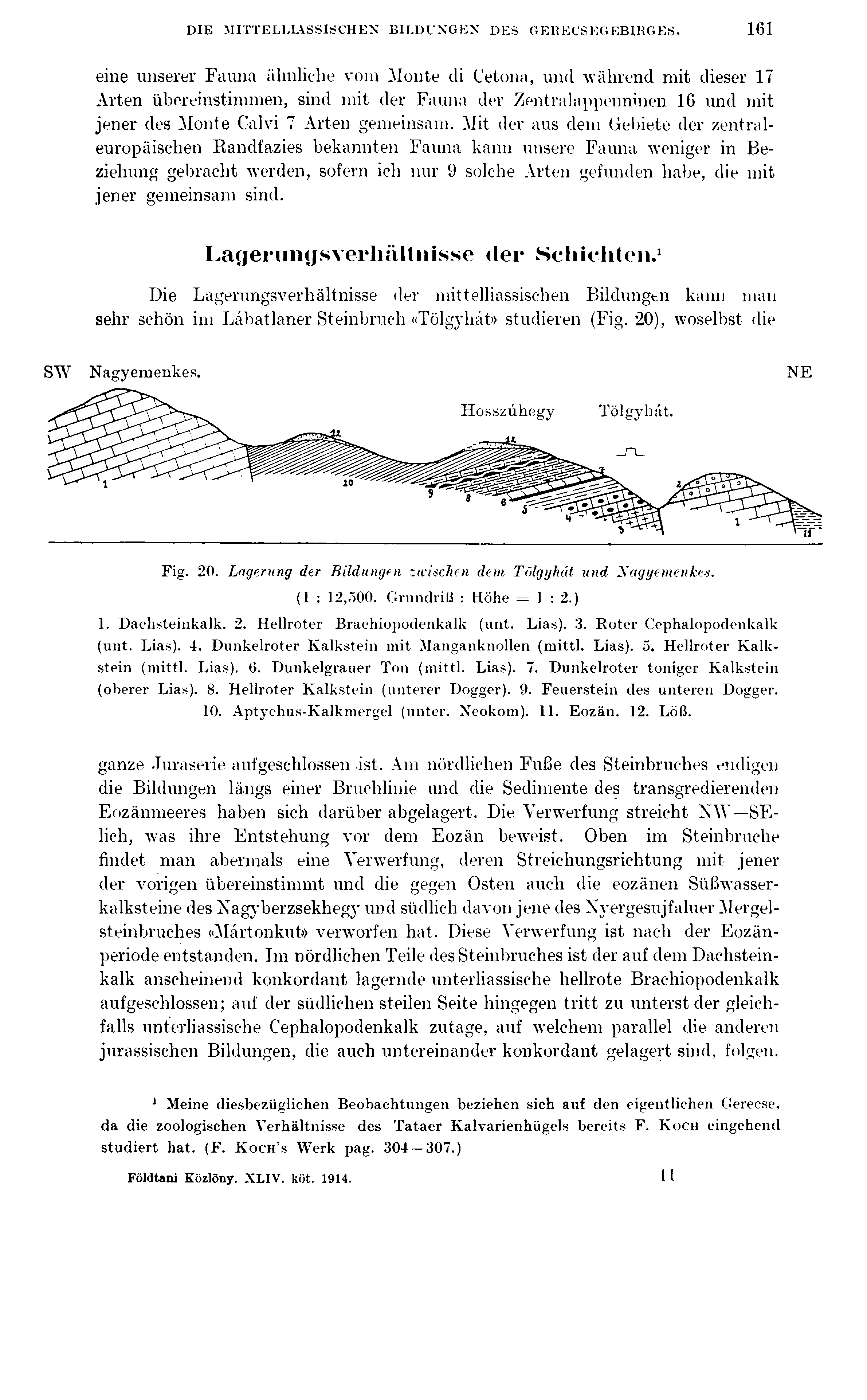 DIE MITTELLIASSISCHEN BILDUNGEN DES GERECSEGEBIRGES.