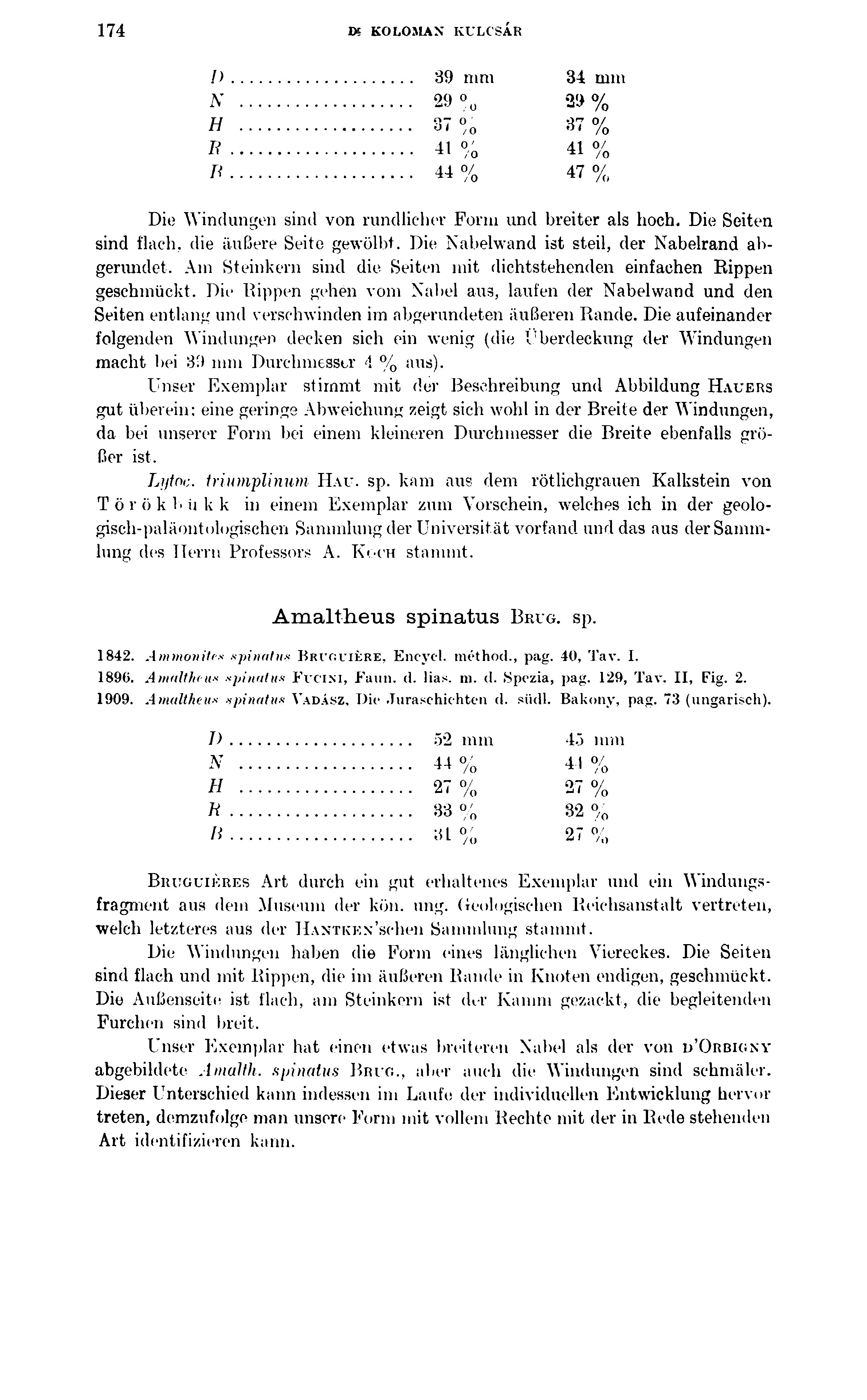 174 K KOLOMAX KULCSÁR / )...39 mm 34 mm N...29 % *29 % H...37% 37% I<......41 % 41 % n......«% 47 % Die Windungen sind von rundlicher Form und breiter als hoch.