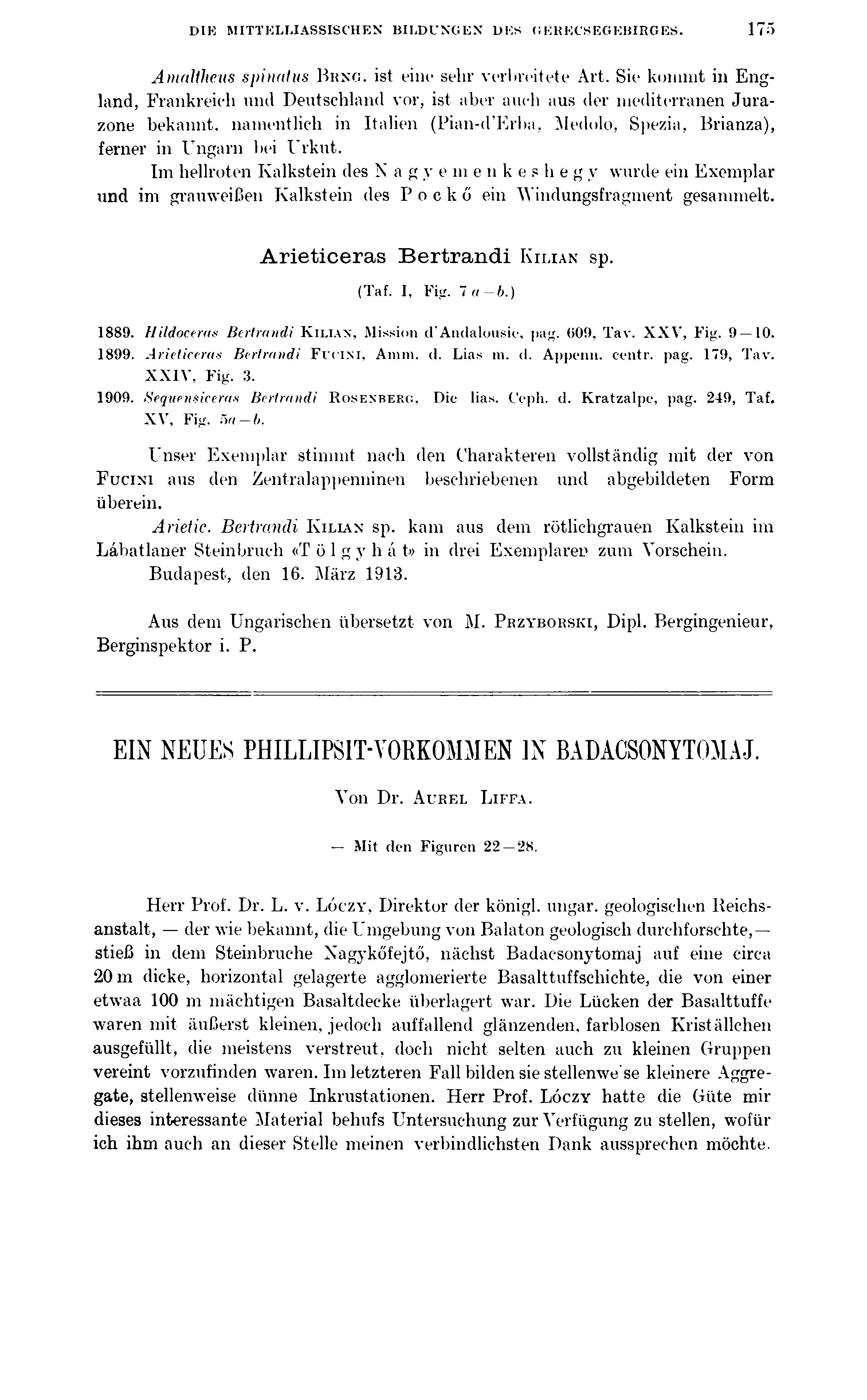 DIK MITTKLLIASSISCHEN BILDUNGEN DES GERECSEGEBIRGES. 175 Amaltheus spinatus B rno, ist eine sehr verbreitete Art.