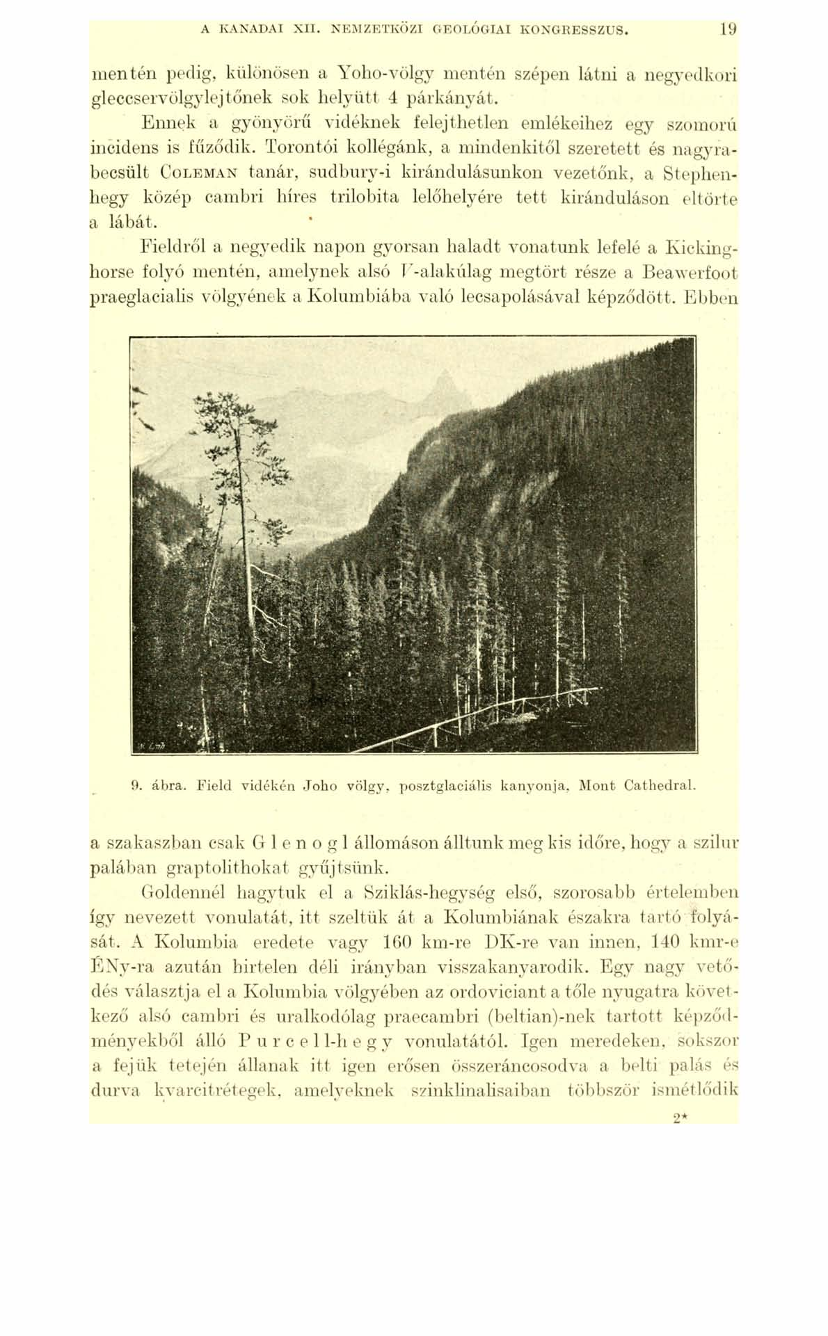 A KANADAI XII. NEMZETKÖZI GEOLÓGIAI KONGRESSZUS. 19 m entén pedig, különösen a Yoho-völgy mentén szépen látni a negyedkori gleccser völgy lej tőnek sok helyütt 4 párkányát.