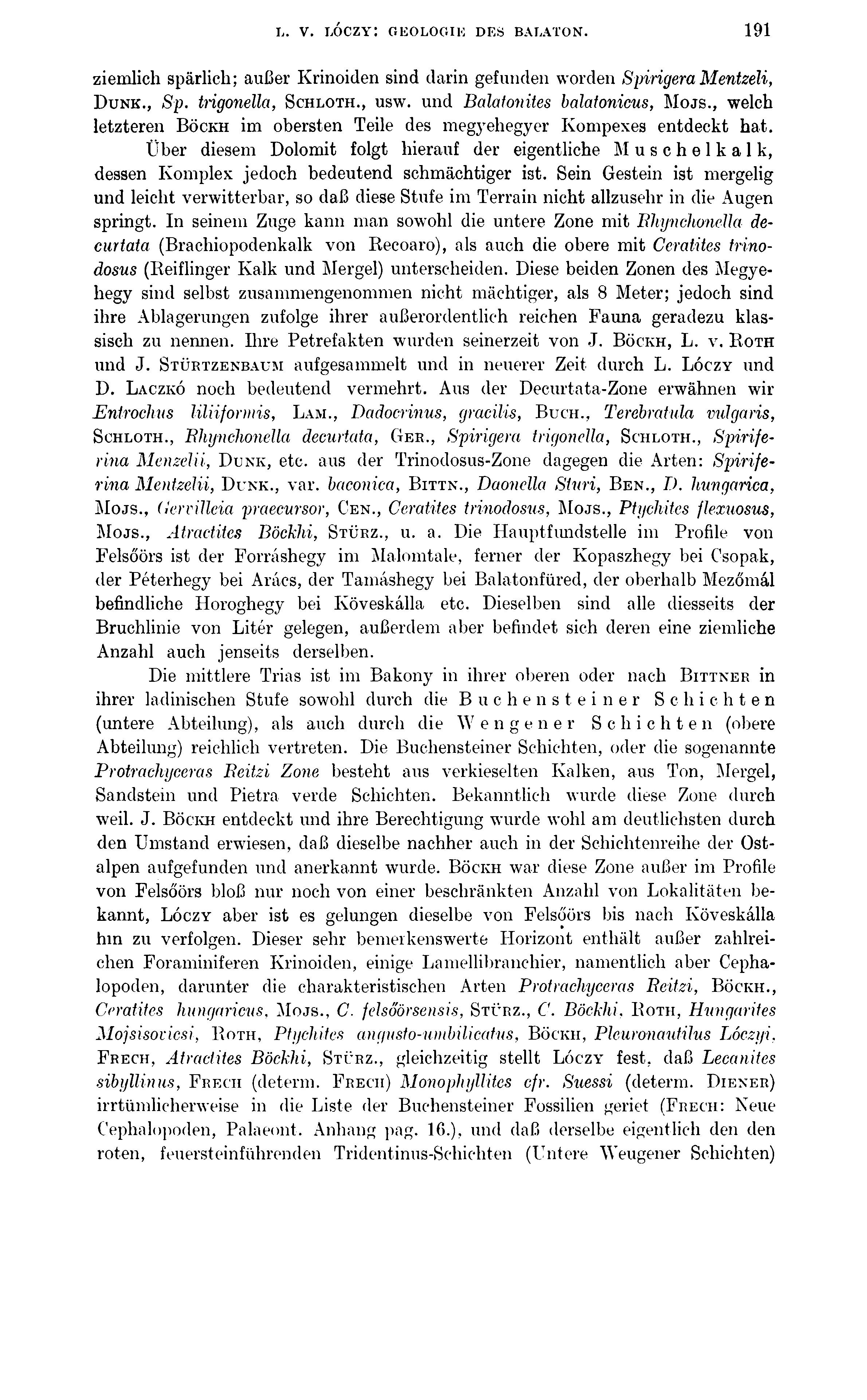 L. V. LÓCZY: GEOLOGIK DES BALATON. 191 ziemlich spärlich; außer Krinoiden sind darin gefunden worden Spirigera Mentzeli, D unk., Sp. tngonella, Schloth., usw. und Balatonites balatonieus, Mo js.