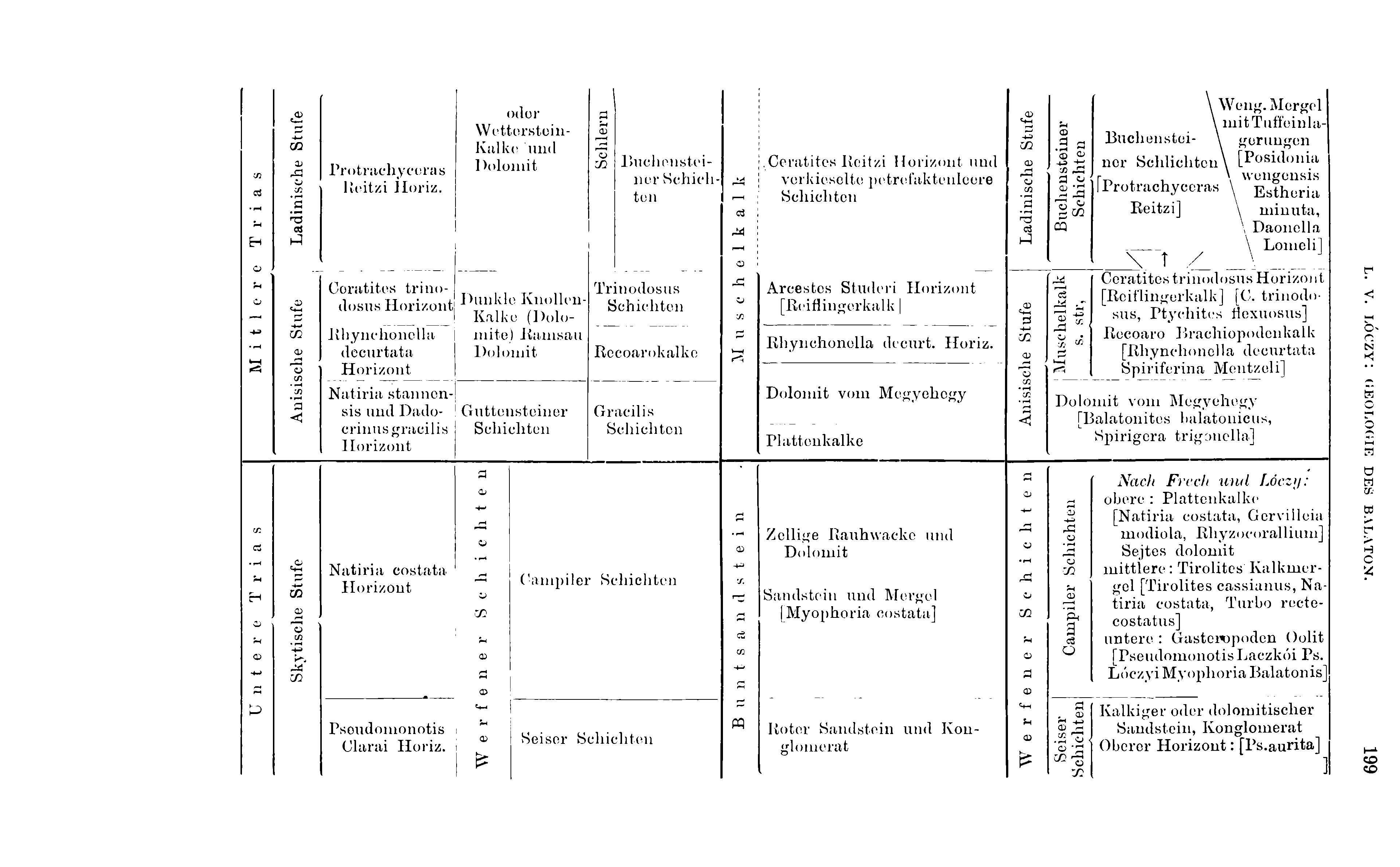 H o c/: Cj CQ 0) o H3 oá i-5 m <D ü m co *3 CQ a> "ocfi in Protrachyceras líeitzi Horiz.