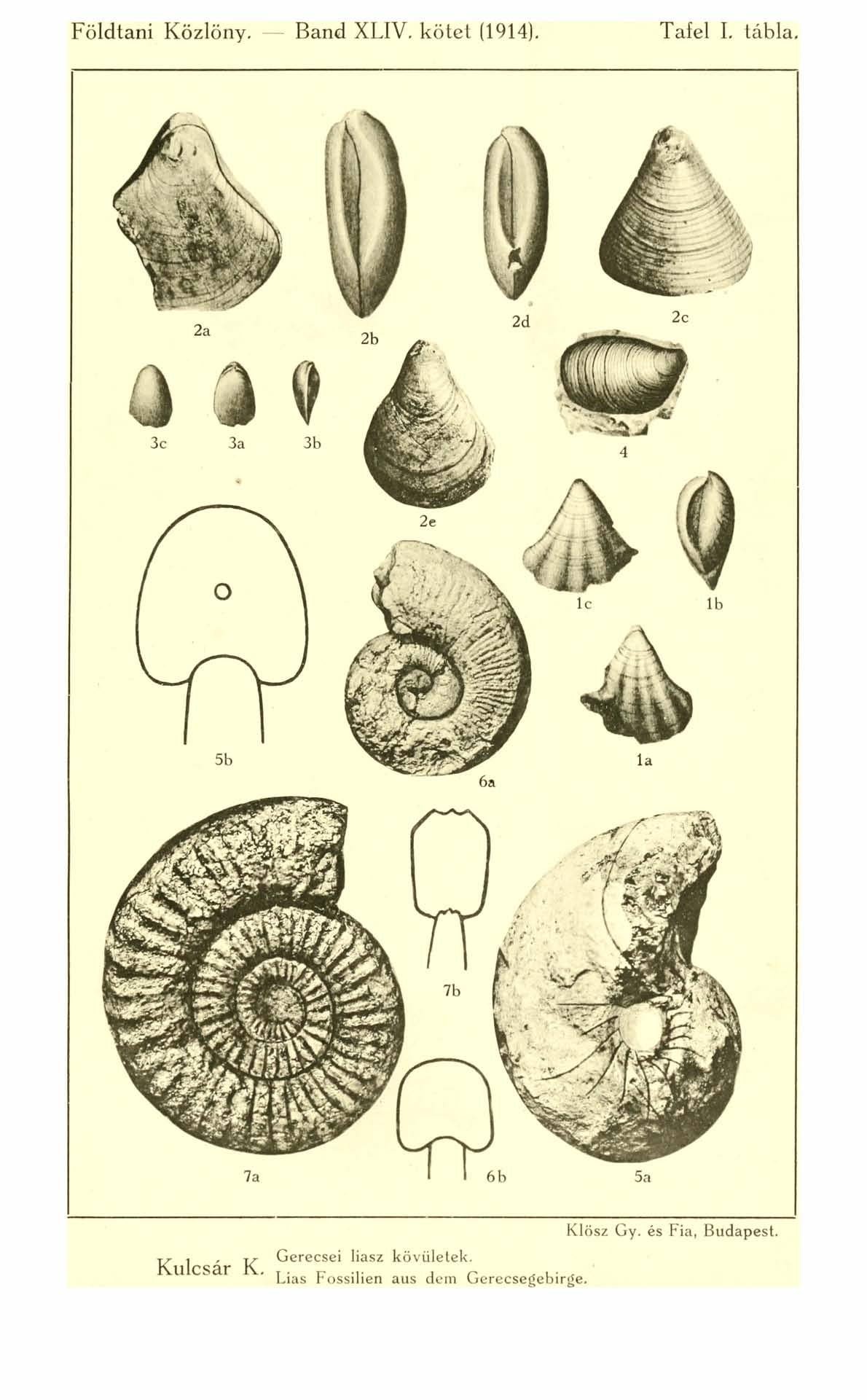 Földtani Közlöny. Band XLIV. kötet (1914). Tafel I. tábla.