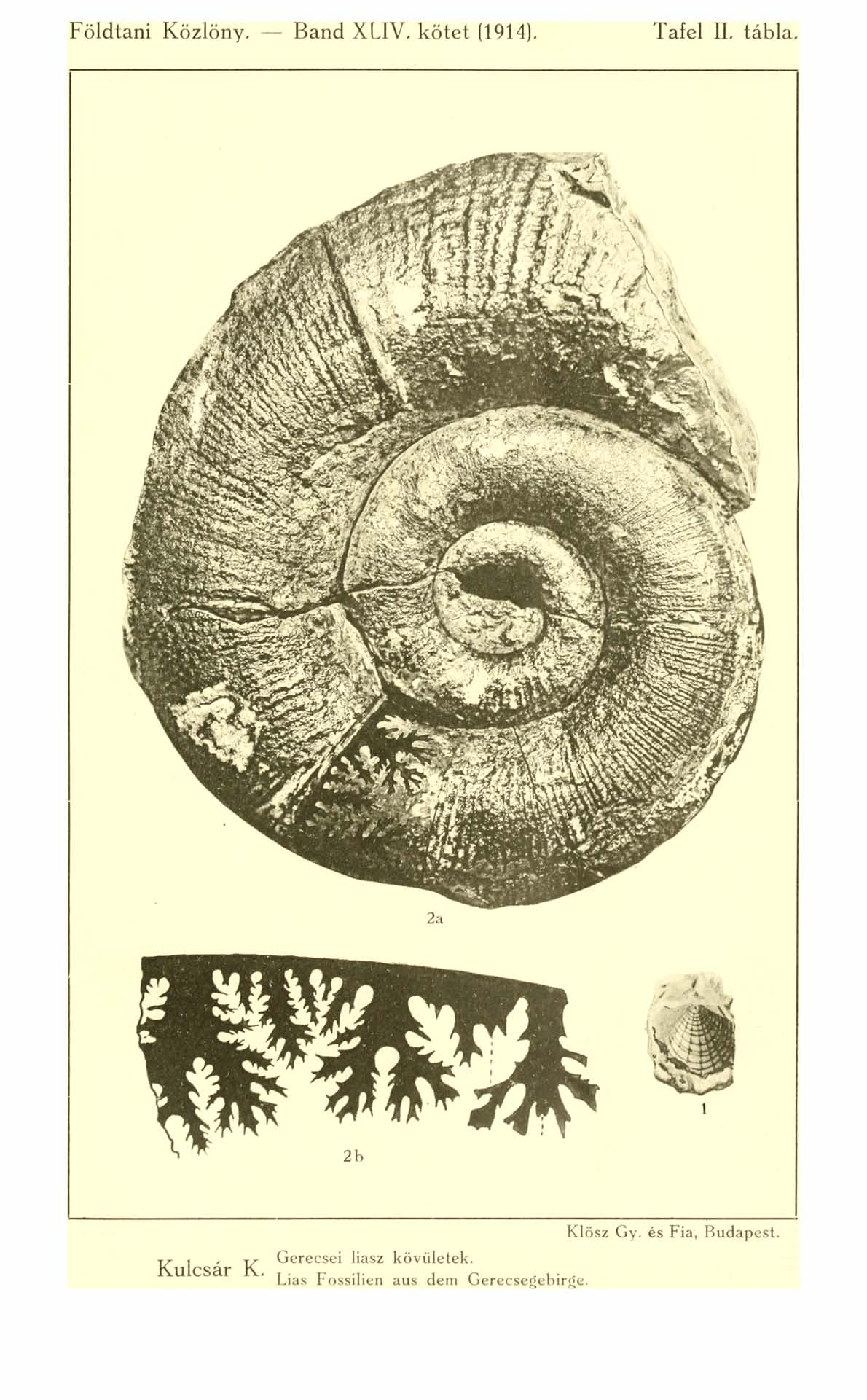 Földtani Közlöny. Band XLIV. kötet (1914). Tafel II. tábla.