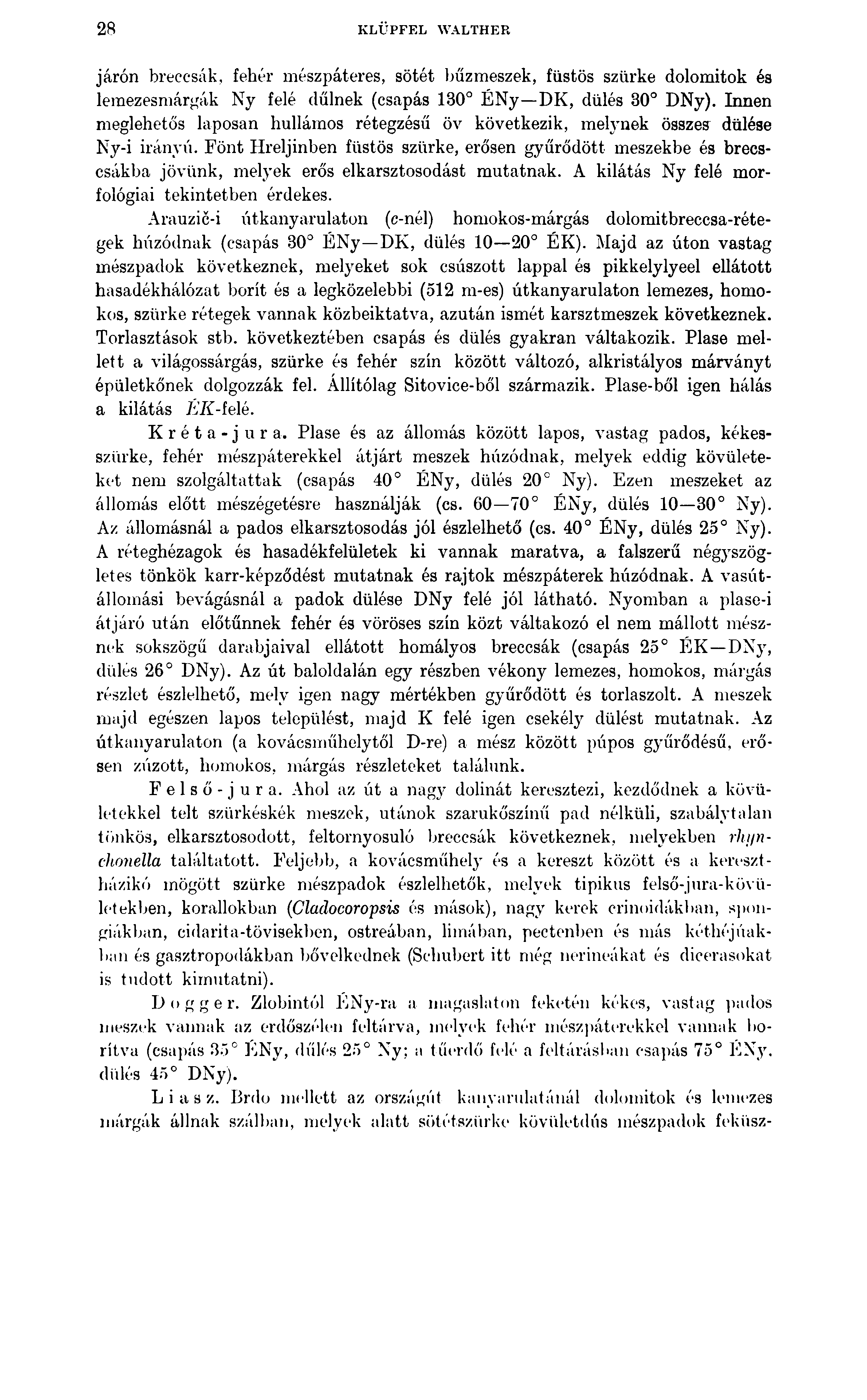 28 KLÜPFEL WALTHER járón breccsák, fehér mészpáteres, sötét bűzmeszek, füstös szürke dolomitok és leraezesmárgák Ny felé dűlnek (csapás 130 ÉNy DK, dülés 30 DNy).