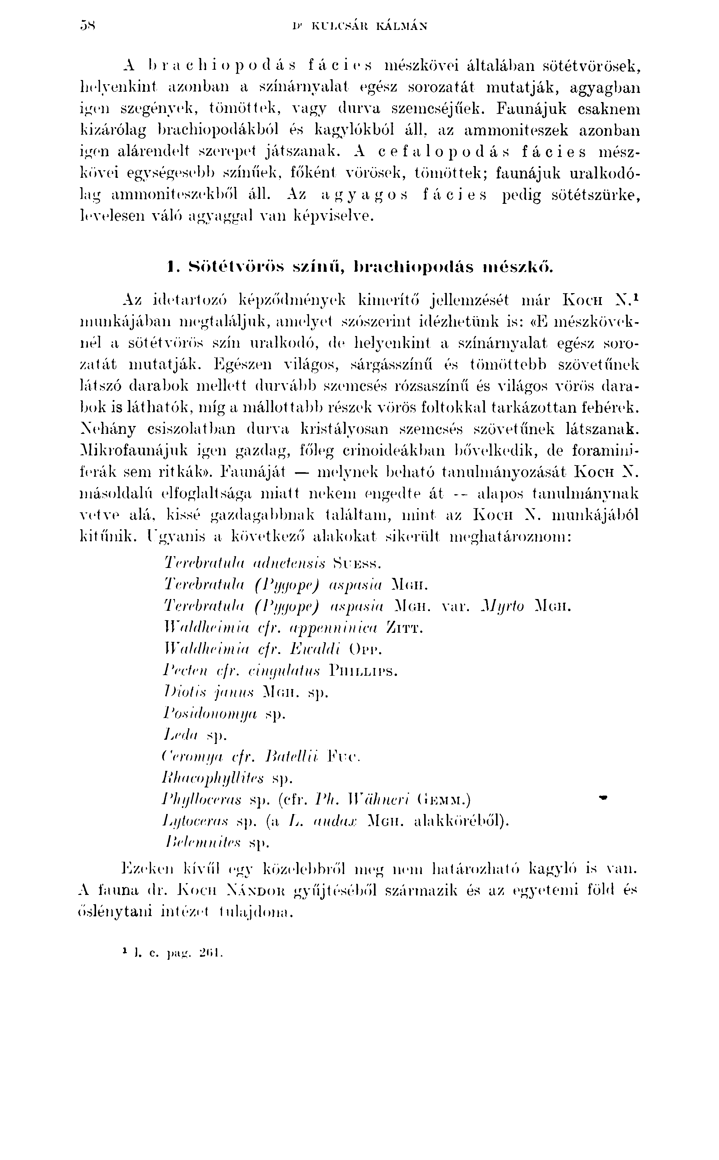 ös 1)' KULCSÁR KÁLMÁN A I) r a e h i o p o d á s f á c i e s mészkövei általában sötétvörösek, helvenkint azonban a színárnyalat egész sorozatát mutatják, agyagban igen szegények, töm öttek, vagy