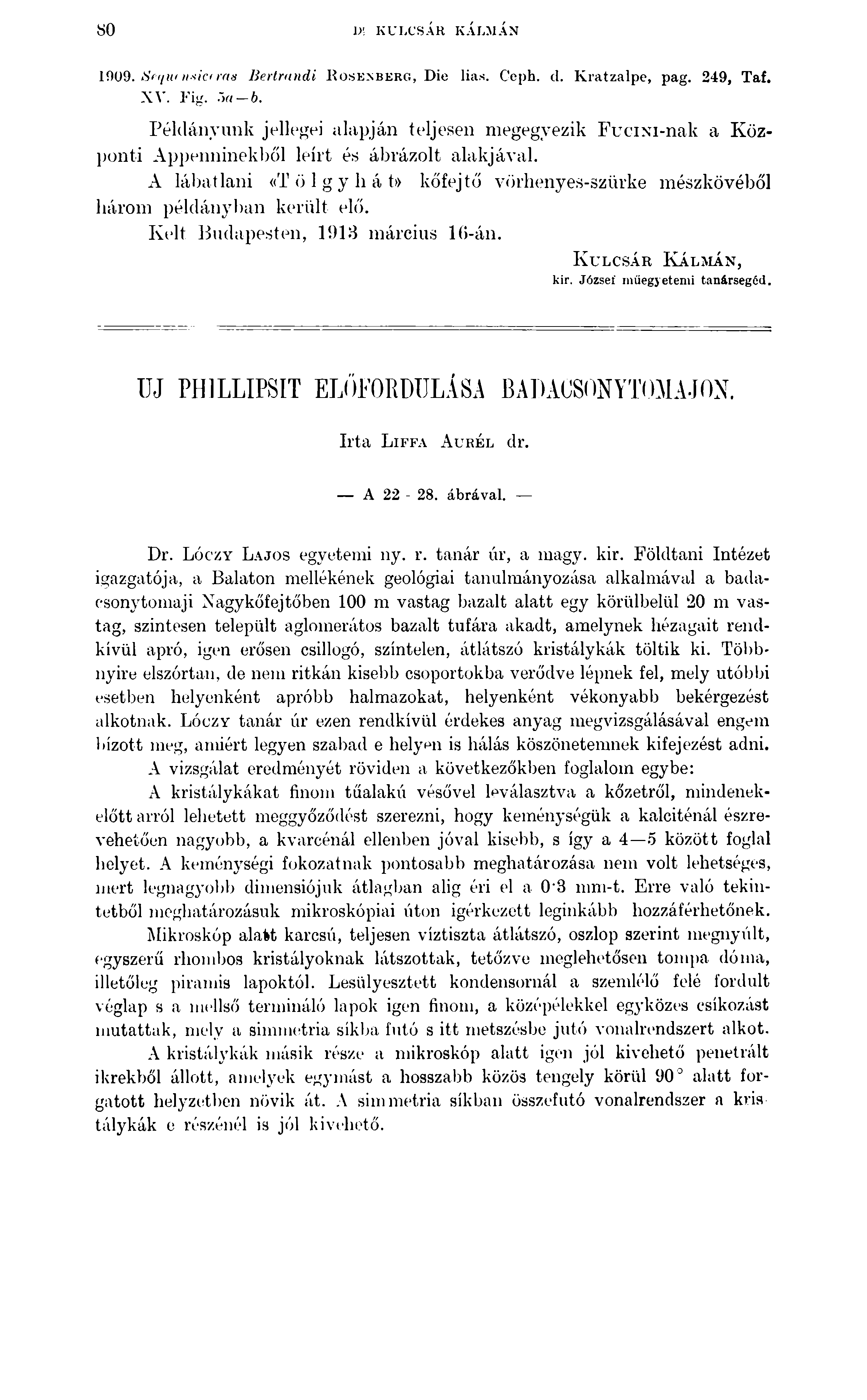 80 \)\ KULCSÁR KÁLMÁN 1009. Sf({U(nsic(ras Bertrandi K o s e n b e r g, Die lias. Ceph. d. Kratzalpe, pag. 249, Taf. XV. Fig. őr/ b.