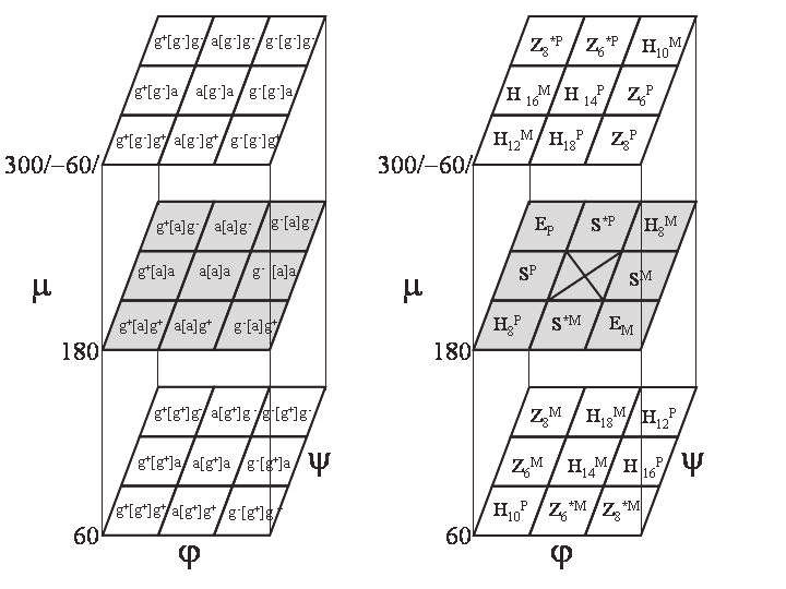 5.2 A -aminosavak red s szerkezeteinek vizsgálata 5.2.1 A β-aminosavak konformációs nevezéktana A β-aminosavakból felépül dipeptid modellek esetén a gerinc konformációt, a gerincben található extra