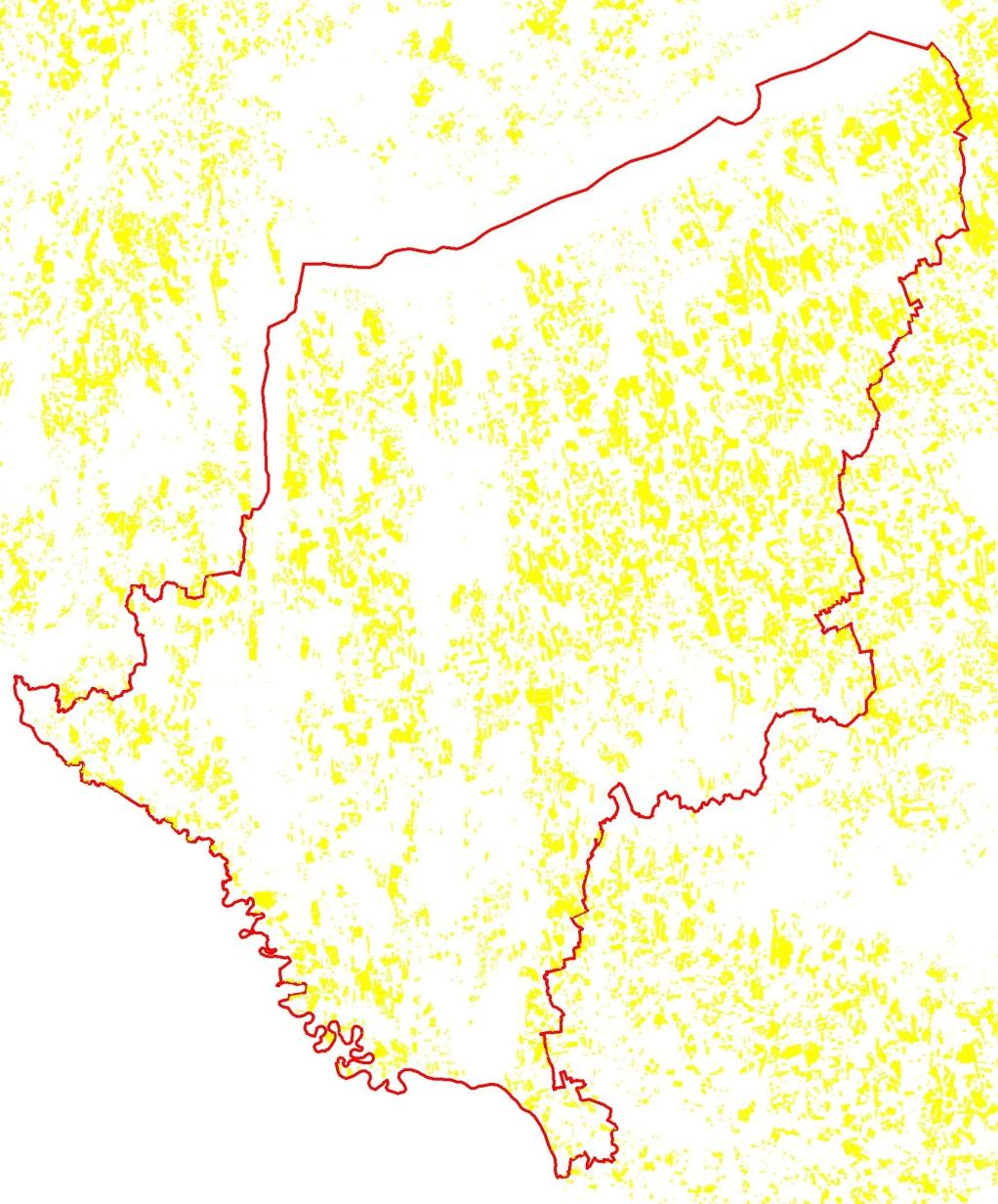 Somogy megye, 2016 Kalászos táblák 88 649 ha