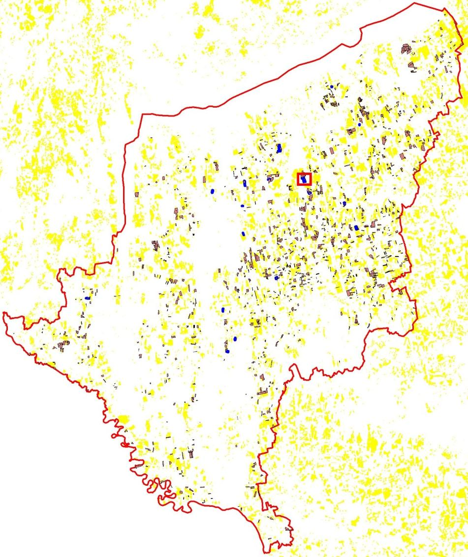 parlagfű foltok és a másodvetés egybeesés: 77 ha Az agrártámogatási