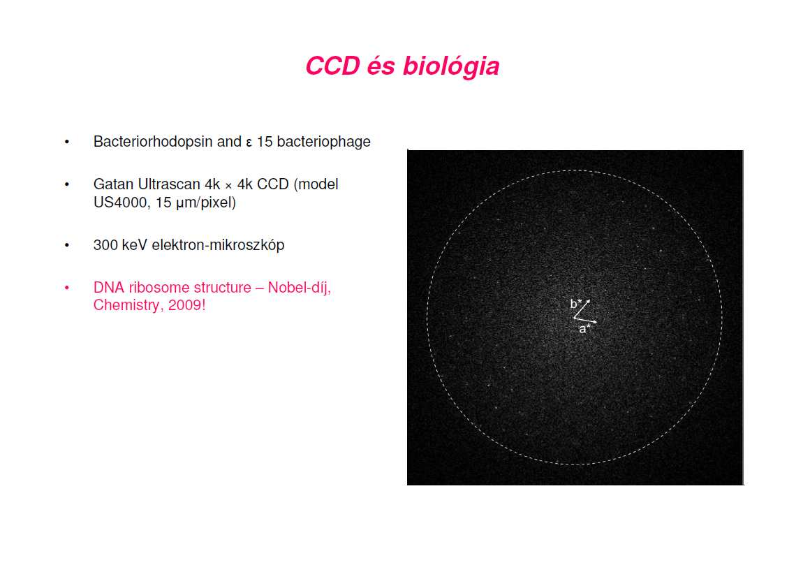 CCD és biológia Beleznay Ferenc (MTA MFA) () A