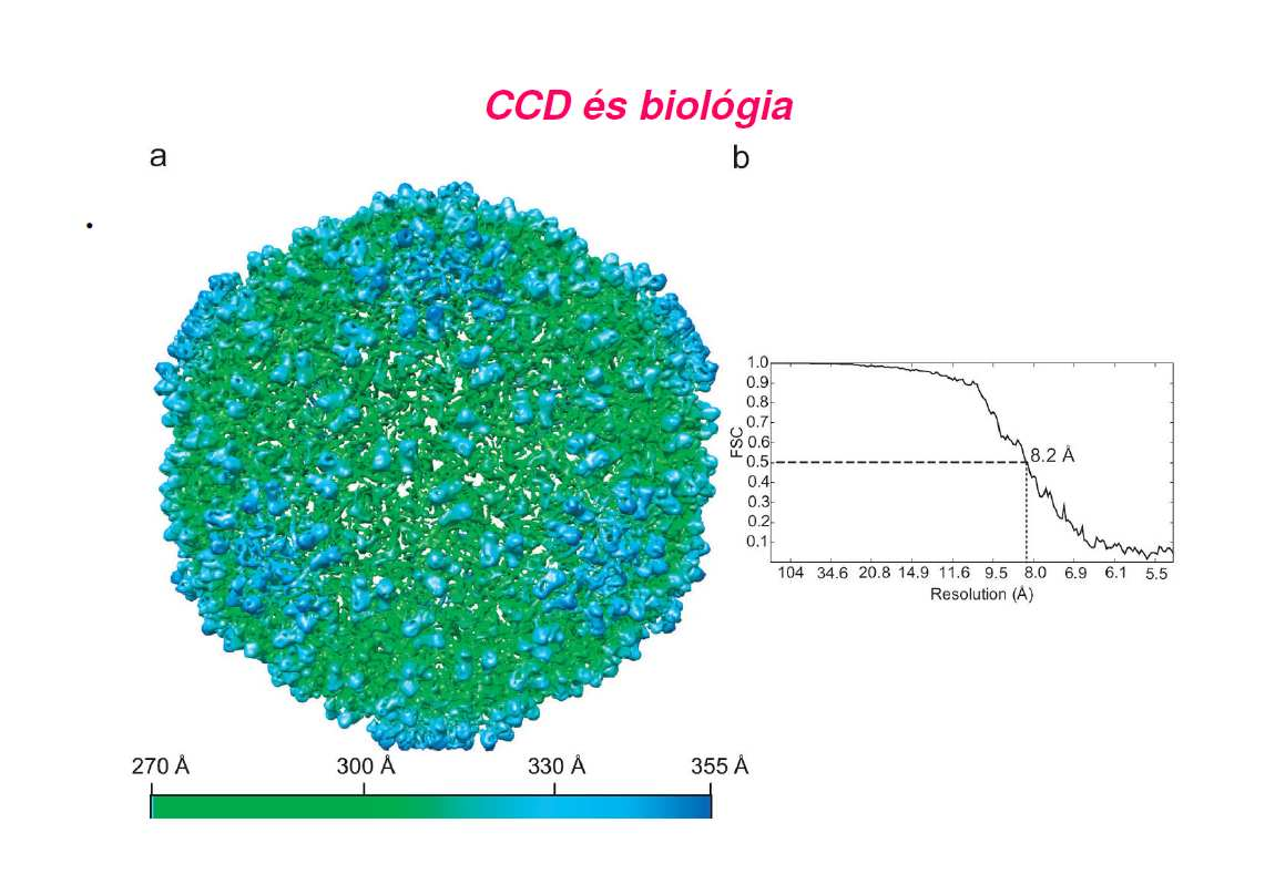 CCD és biológia Beleznay Ferenc (MTA MFA) () A