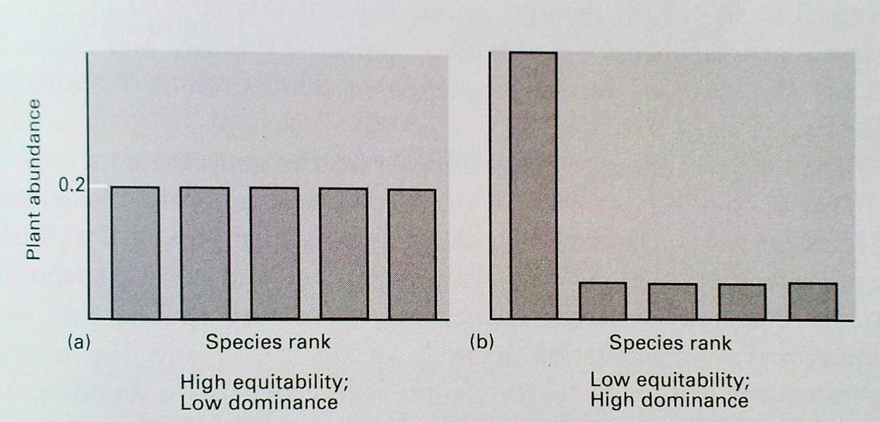 Fajonkénti egyedszám TEXTÚRA ( szövet ) Minden fajhoz hozzárendeljük a populációja tömegességét (abundanciáját) A fajok számosságának mértékét az összes faj tömegességéből való százalékos