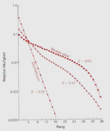 Relatív tömegesség Összefoglalva a 3 eloszlástípust A textura számszerű jellemzése: diverzitás = sokféleség Melyik közösség a diverzebb (sokfélébb)?