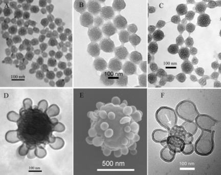 silica hybrids with