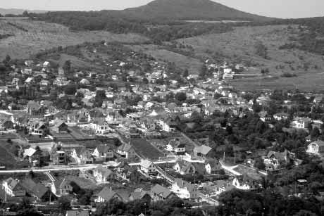 Világváros vagy világfalu egyértelmûen a fenntarthatóság szempontját helyezi minden más szempont elé. A Koncepció differenciáltabb megközelítési módját több tényezõ indokolja, magyarázza.