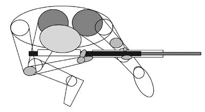 Sokban hasonlít a II-es variációhoz, de lényeges különbség, hogy itt a lövő mindkét térdére feltámasztja a puskát (pontosabban, a bal térd tetejére és a jobb térdhez közel a combjára).