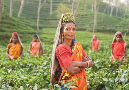 India India kontinensnyi területével a Föld hetedik legnagyobb országa.