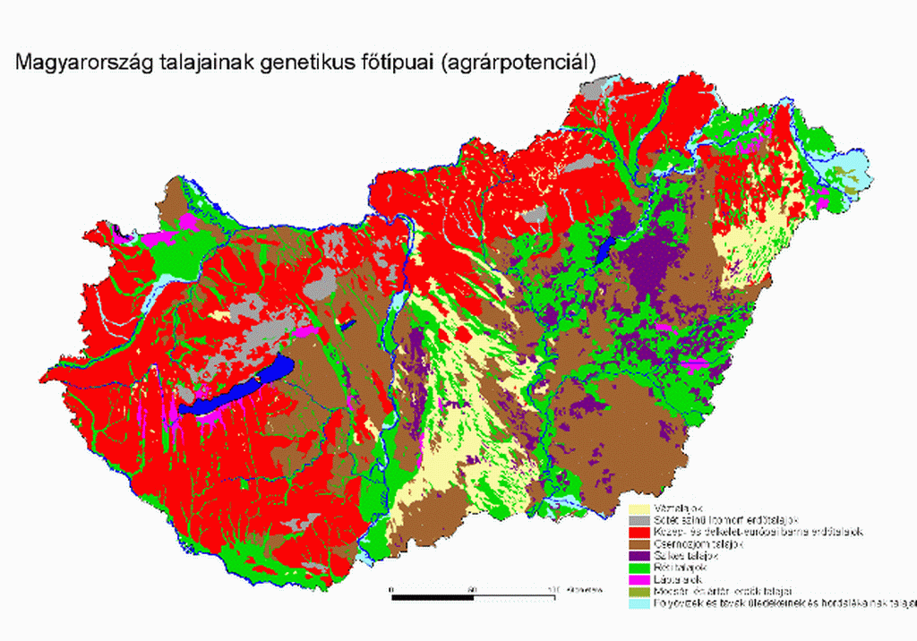 MAGYARORSZÁG FONTOSABB TALAJTÍPUSAI 4,5 millió ha szántó megoszlása Csernozjom 16,1 % Réti és öntés 18,6 % Barna erdő 34,5 % Homok 9,8 % Szikes 8,7 % Egyéb 12,3 % váztalajok Csernozjom talajok