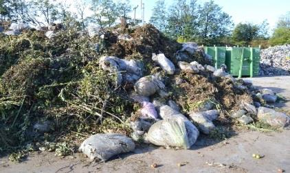 létesítményekben képződő élelmiszer és konyhai hulladék, valamint az ezekhez hasonló, élelmiszerfeldolgozó