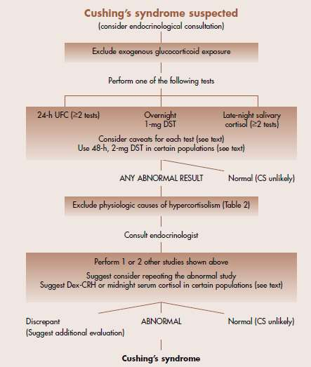 The Diagnosis of Cushing s syndrome: An