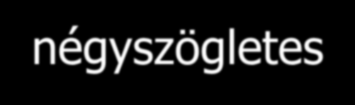 Felső állcsont-gerinc formái Gerinc alakja szerint Háromszögletes, V - alakú Lekerekített négyszögletes U -alakú,