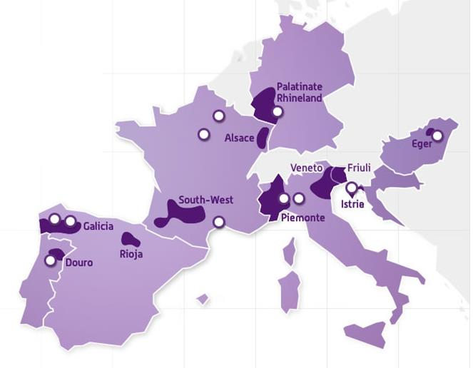 A WINETWORK projekt 10 ügyvivő szakértőjének feladata, hogy egyrészt információt gyűjtsenek a gyakorlati életből, másrészt innovatív gyakorlatokat azonosítsanak. 2015. december és 2016.