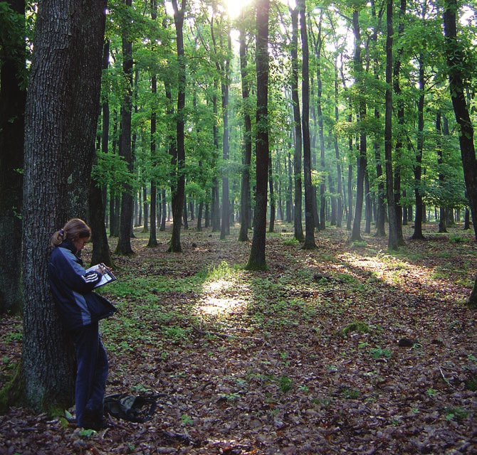 20 Ódor Péter (szerk.): A biodiverzitást meghatározó környezeti változók vizsgálata az őrségi erdőkben kvadrátban rögzítettük a fajok termőtesteinek jelenlétét (1.C. ábra).