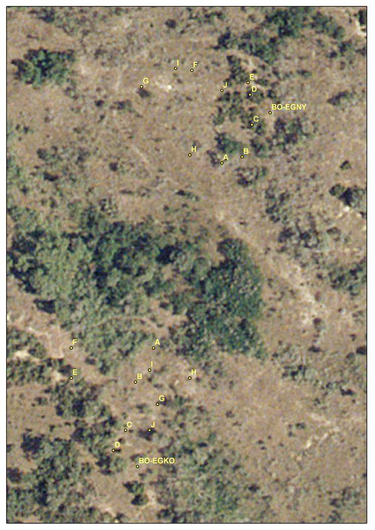 100 méter 13. ábra A bócsai égett mintaterületek 2005-ös légifotón.