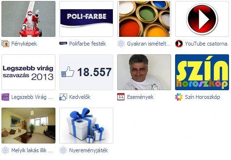 Facebook tabs Fényképek: élmények, DIY Apps: Legszebb virág