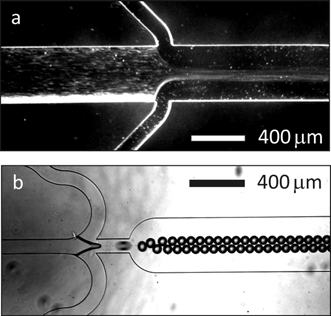 Mintakezelés mikroméretekben mikrofluidikai rendszerek 3.