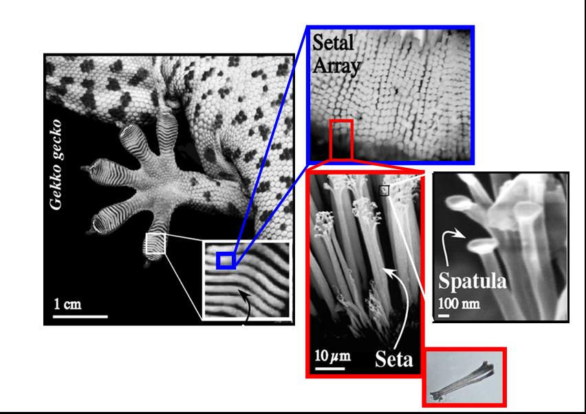 jpg nano sző http://physics.suite101.