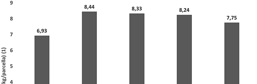 ábra: A fajtánkénti átlagos termésmennyiség Figure 2: Average yield of the investigated varieties yield (kg plot -1 )(1), Variety(2) A statisztikai elemzés során a fajták termésmennyi - sége közötti