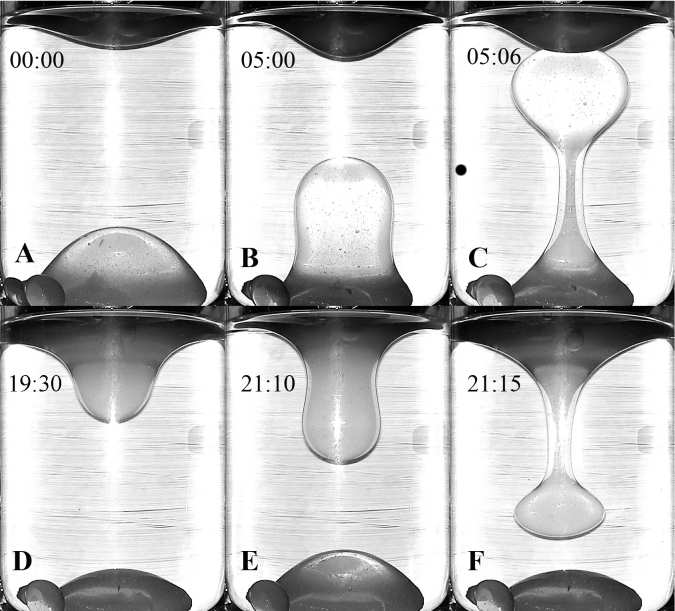 6.5. ábra. Láva lámpa konvekció r a = 1,12, r V = 0,21, r T = 0,060-nél. A képeken perc:másodperc formátumban tüntettük fel az első felvétel óta eltelt időt.