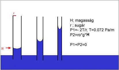 vízmolekulák közötti másodlagos kötések (H + -kötések) miatt a vízmolekulák közötti kohéziós erő és így a víz tenziótűrése és felületi feszültsége igen nagy (nagy ellenállást képes kifejteni a