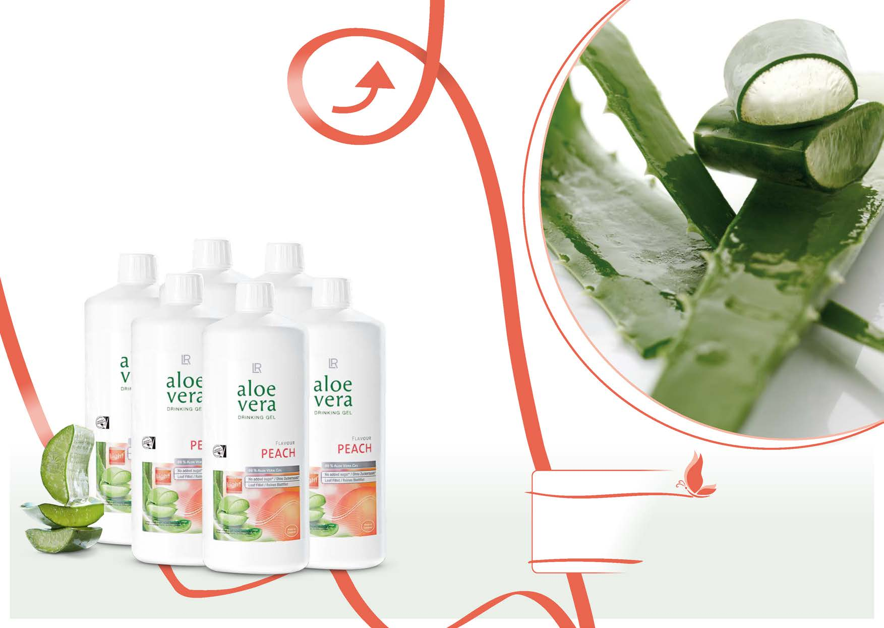 Könnyed, gyümölcsös ÍZ ALOE VERÁVAL Az Aloe vera őszibarack ízű ivógél tökéletes lendületet biztosít tavasszal egyaránt frissítő és hűsítő.