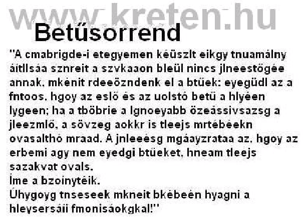 Egy új kutatás szerint a Jáván élt korai emberek már jóval a Homo sapiens megjelenése előtt kagylókat használtak eszközként és vésőként.