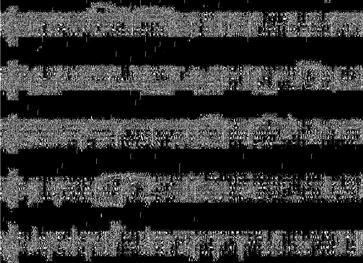 .1-1 l 1 í------------ 1----- tj... л.. * 0 ^... тз_. л_ I..... X / ma - 1.1... " j Ф = É Í.