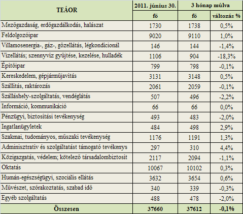 A mintavételi kör foglalkoztatotti létszám-várakozásai