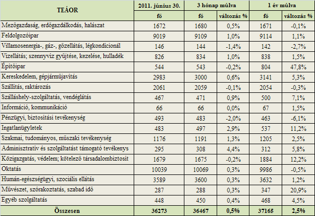 A mintavételi kör foglalkoztatotti létszám-várakozásai