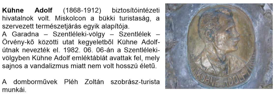 7 NAGYJAINK Frölich Dávid (1595-1648) tudós, a késmárki kollégium igazgatója. dr. Déchy Mór (1851-1917) a Kaukázus kutatója. Czárán Gyula (1847-1906) a bihari természetjárás atyja, Bihar grófja.
