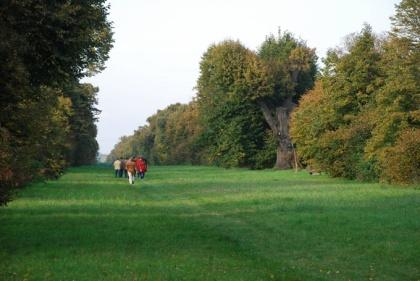 A közelben, a nagycenki plébániatemplom temetőkertjében található a család mauzóleuma, történelmi zarándokhely. ápr okt.: kedd-vasárnap 10-18 nov márc.