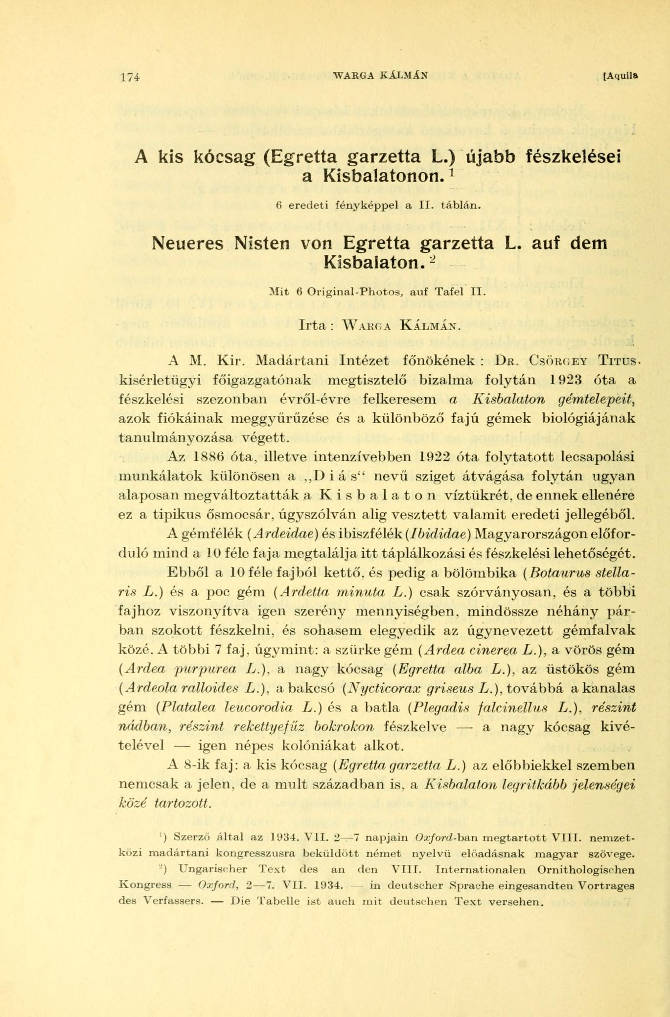 174 WARGA KÁLMÁN [Aquila A kis kócsag (Egretta garzetta L.) újabb fészkelései a Kisbalatonon. 1 6 eredeti fényképpel a II. táblán. Neueres Nisten von Egretta garzetta L. auf Kisbalaton.