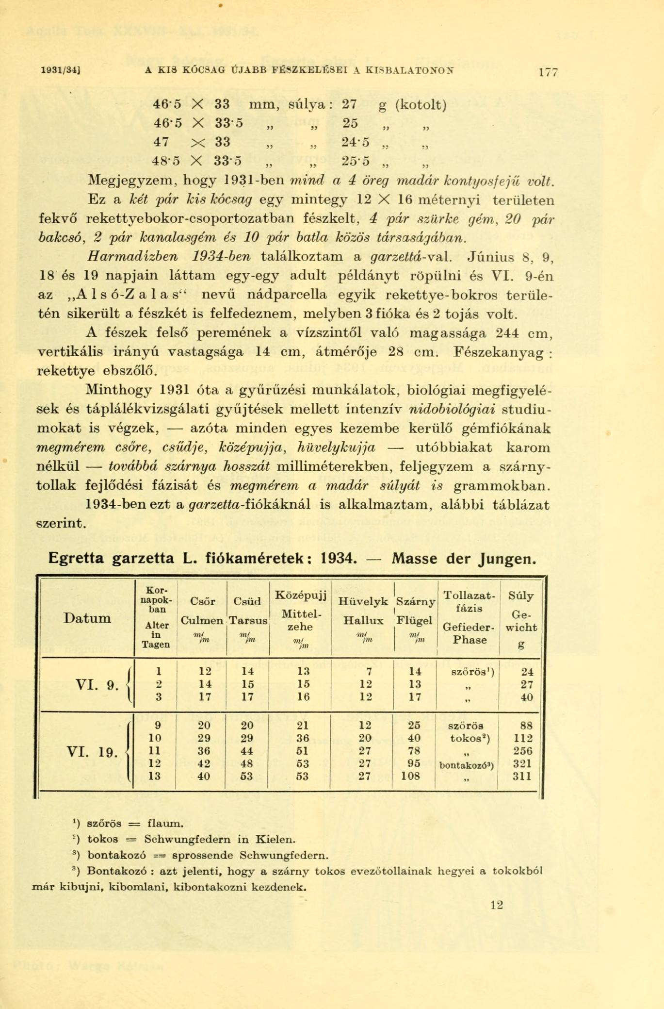 1931/34] A Kid KÓCSAG ÚJABB FÉSZKELÉSEI A KISBALATONON 177 46-5 X 33 mm, súlya: 27 g (kotolt) 465 X 335 25 47 X 33 245 48-5 X 33 5 255 Megjegyzem, hogy 1931-ben mind a 4 öreg madár kontyosfejű volt.